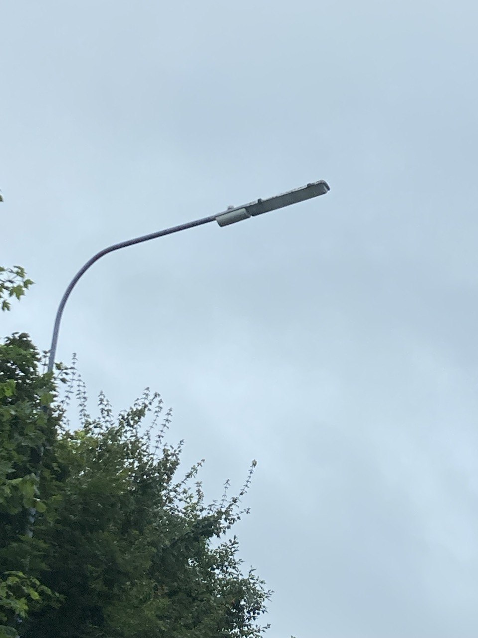 Alpha 4 on column